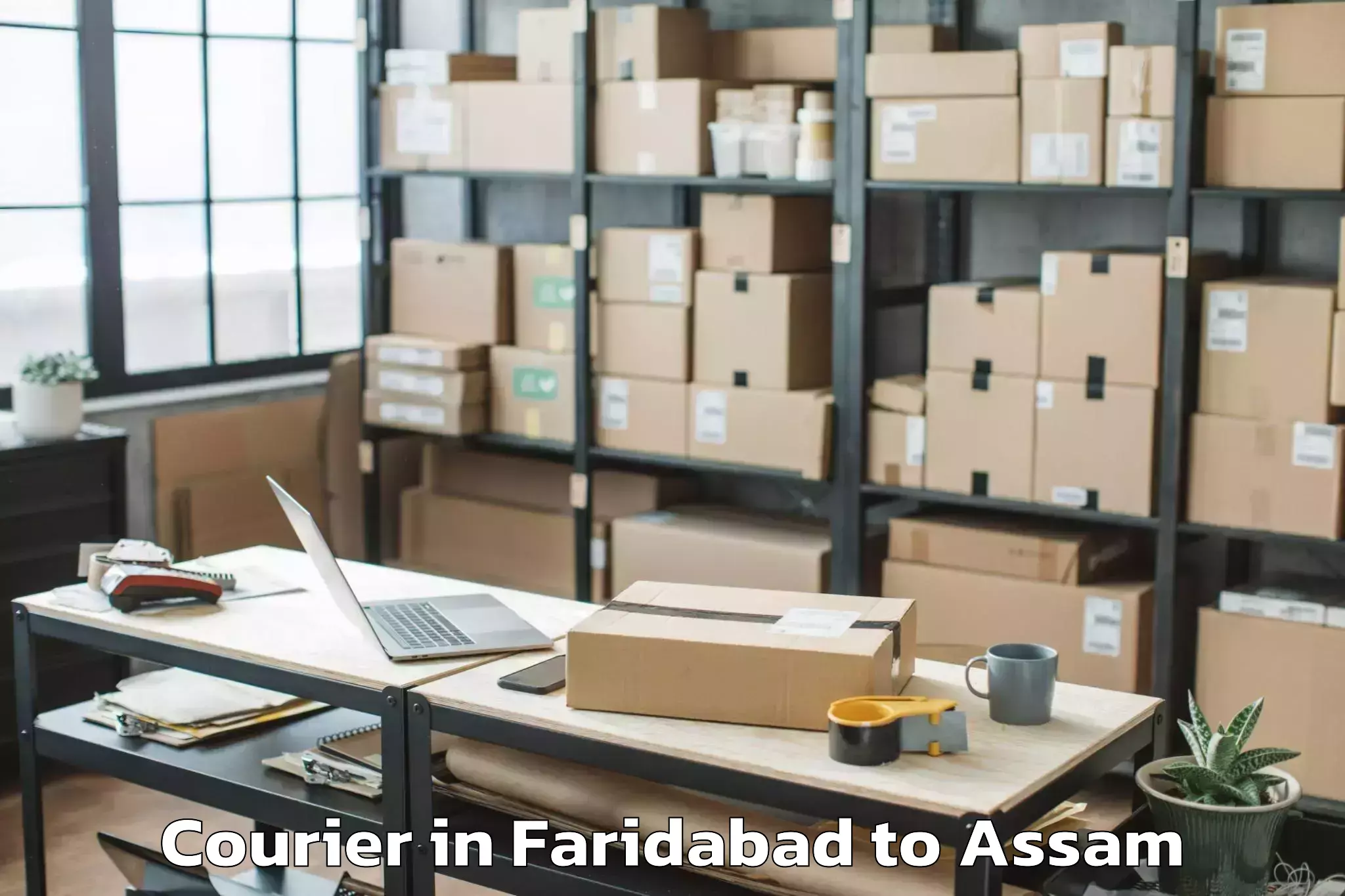 Book Faridabad to Dokmoka Courier Online